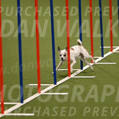 Bob-Hope-Margaret-Poulin-11238