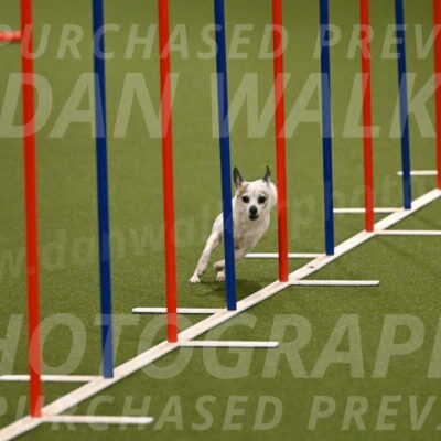 Bob-Hope-Margaret-Poulin-11239