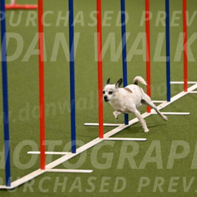 Bob-Hope-Margaret-Poulin-11241