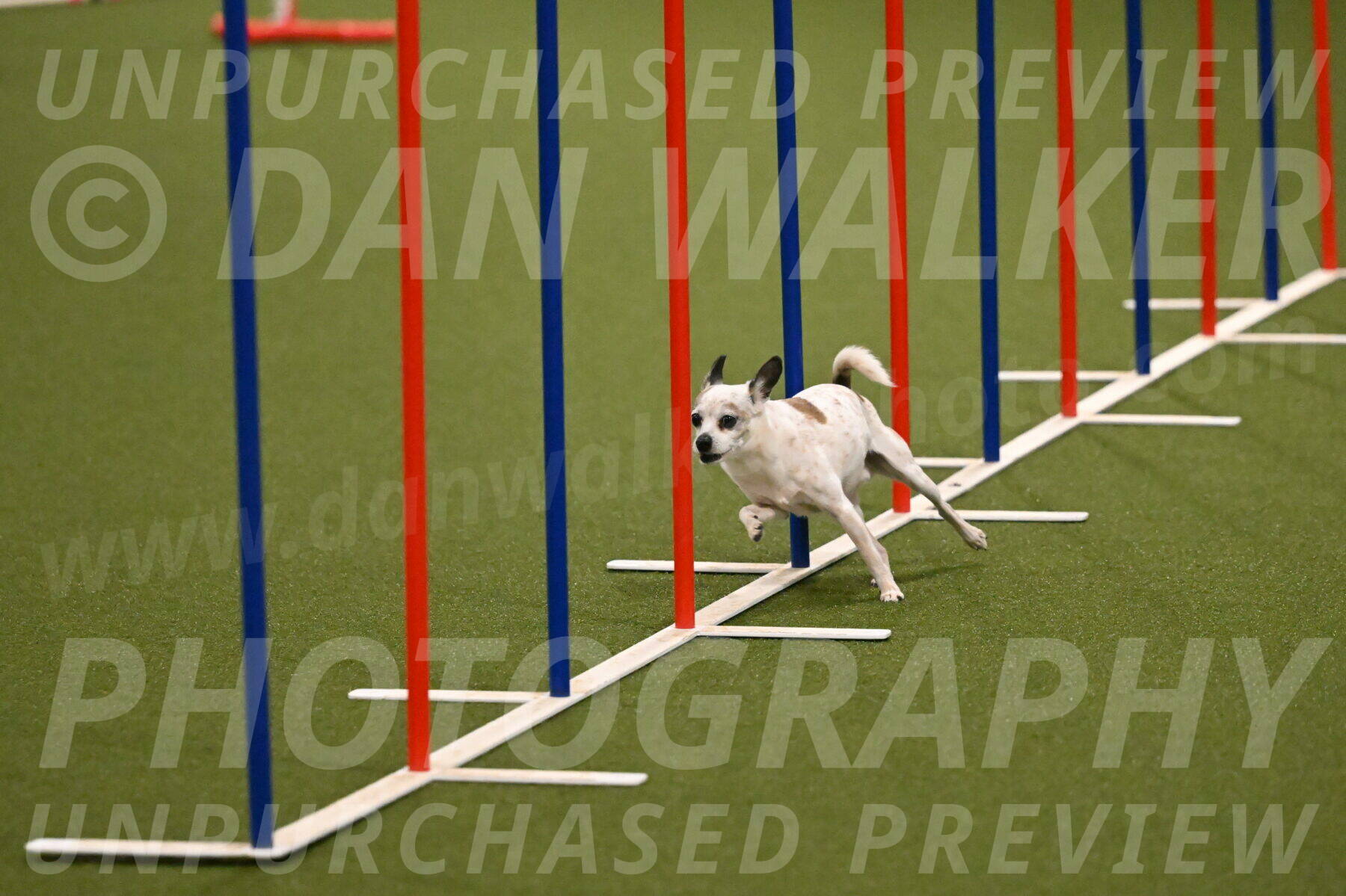 Bob-Hope-Margaret-Poulin-11241