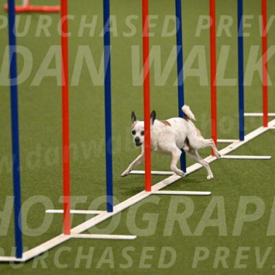 Bob-Hope-Margaret-Poulin-11242