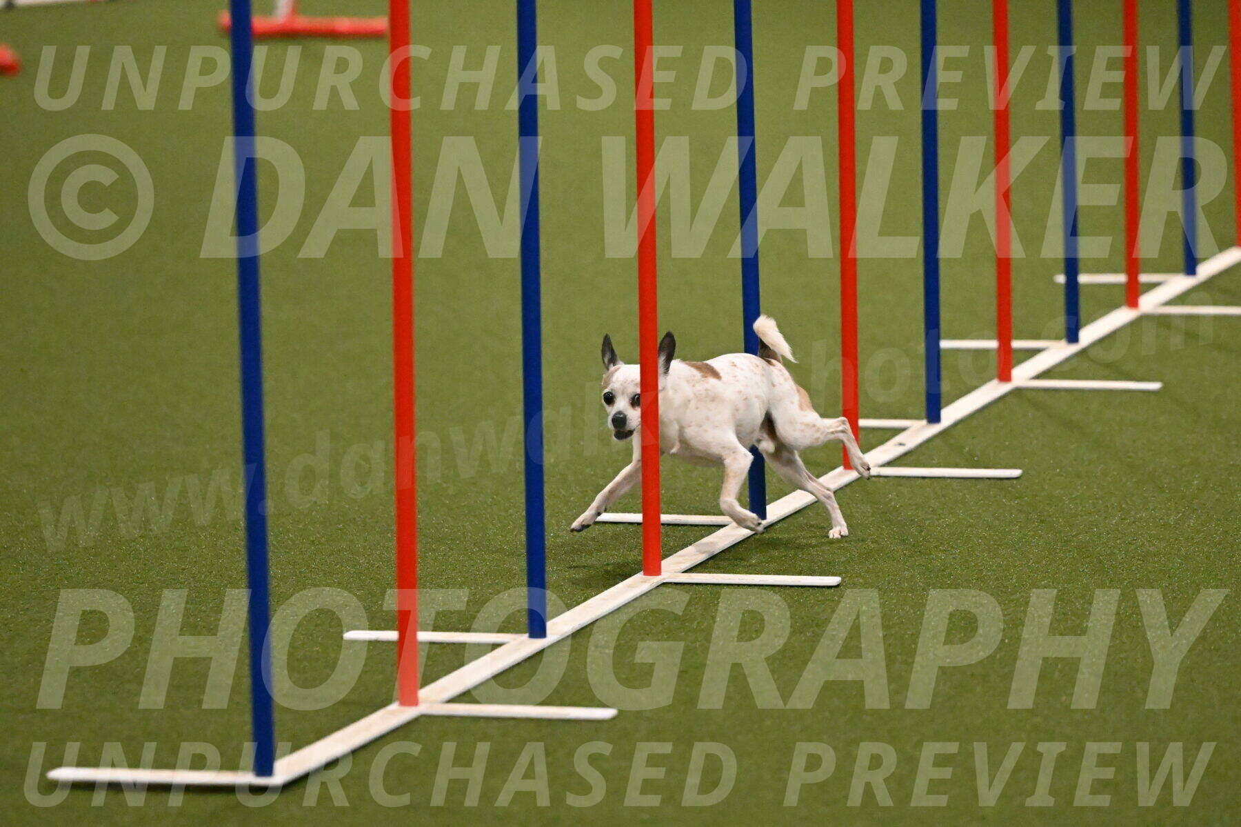 Bob-Hope-Margaret-Poulin-11242