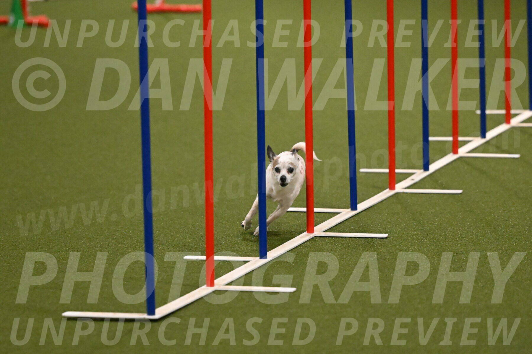 Bob-Hope-Margaret-Poulin-11243