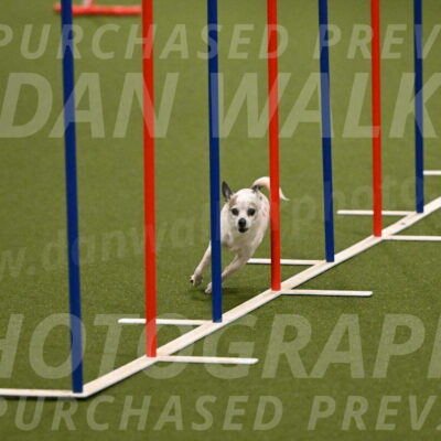 Bob-Hope-Margaret-Poulin-11243