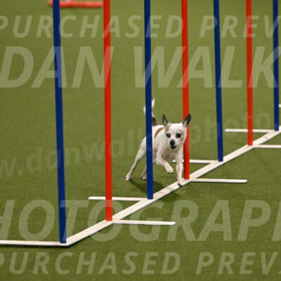 Bob-Hope-Margaret-Poulin-11244