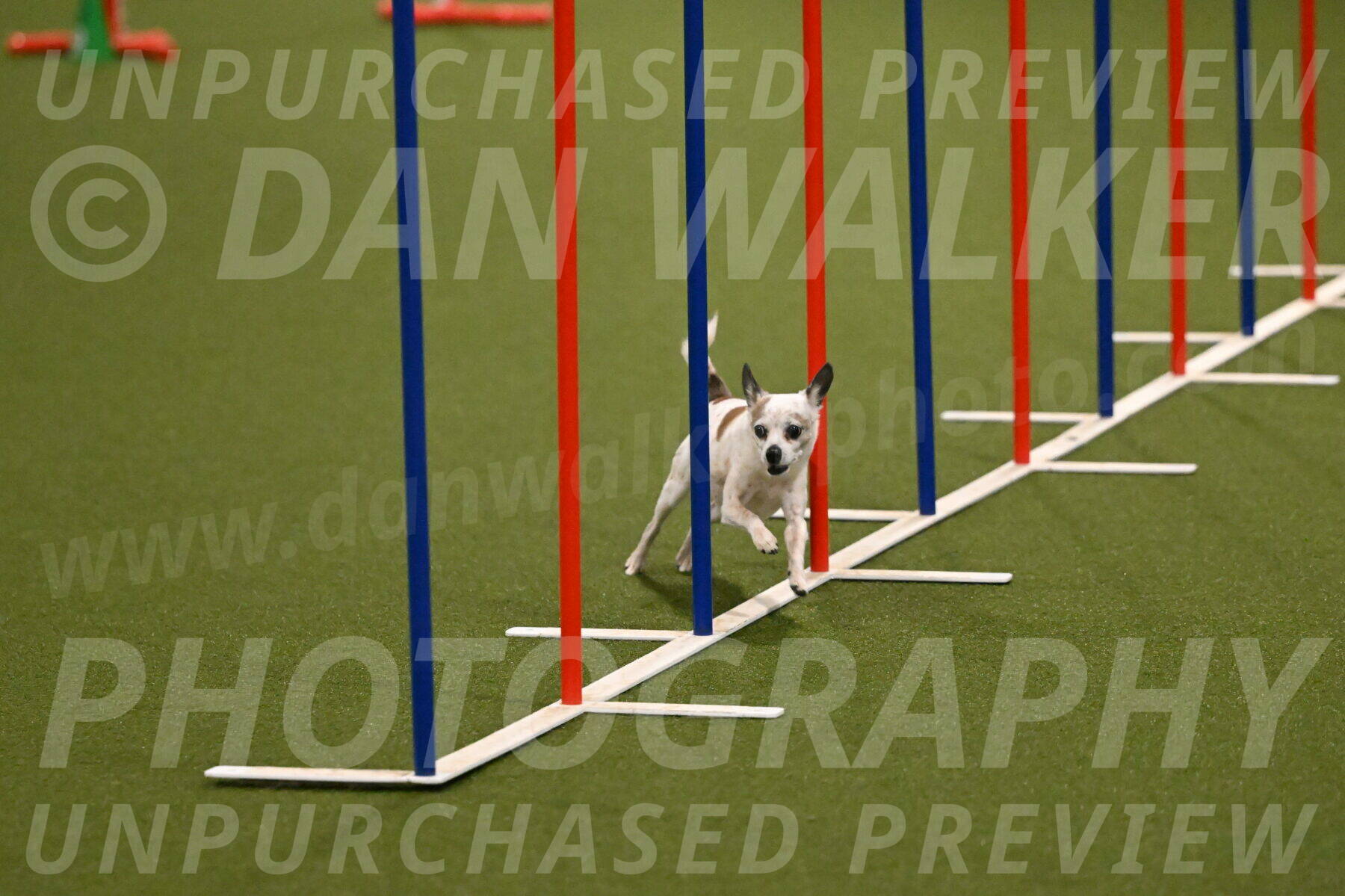 Bob-Hope-Margaret-Poulin-11244