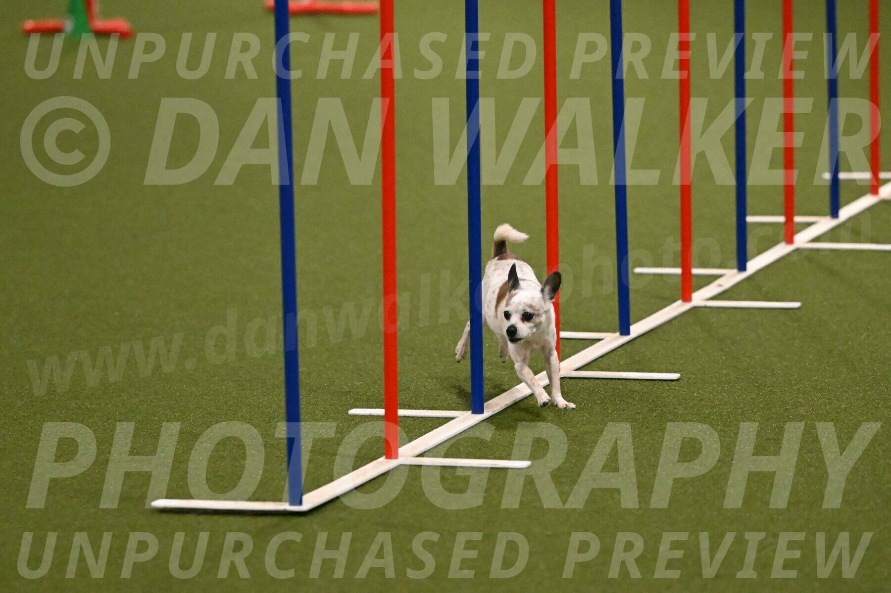 Bob-Hope-Margaret-Poulin-11245