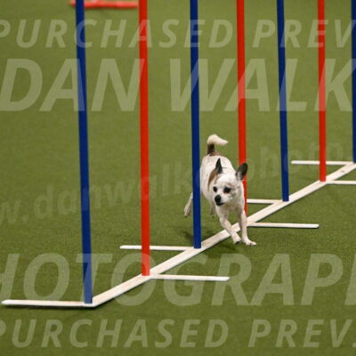 Bob-Hope-Margaret-Poulin-11245