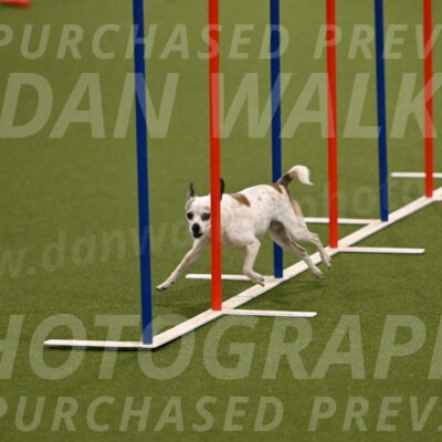 Bob-Hope-Margaret-Poulin-11246