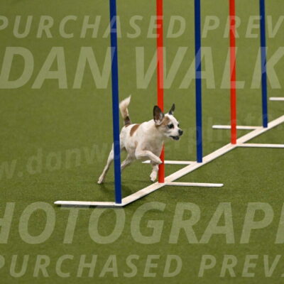 Bob-Hope-Margaret-Poulin-11247