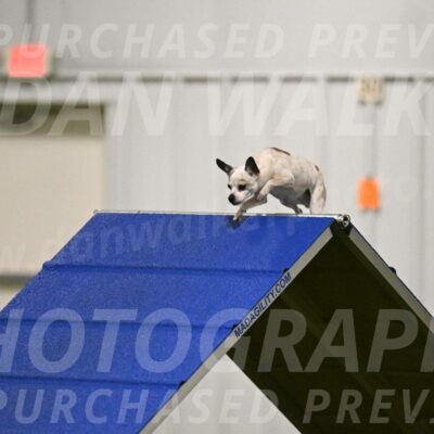 Bob-Hope-Margaret-Poulin-11248