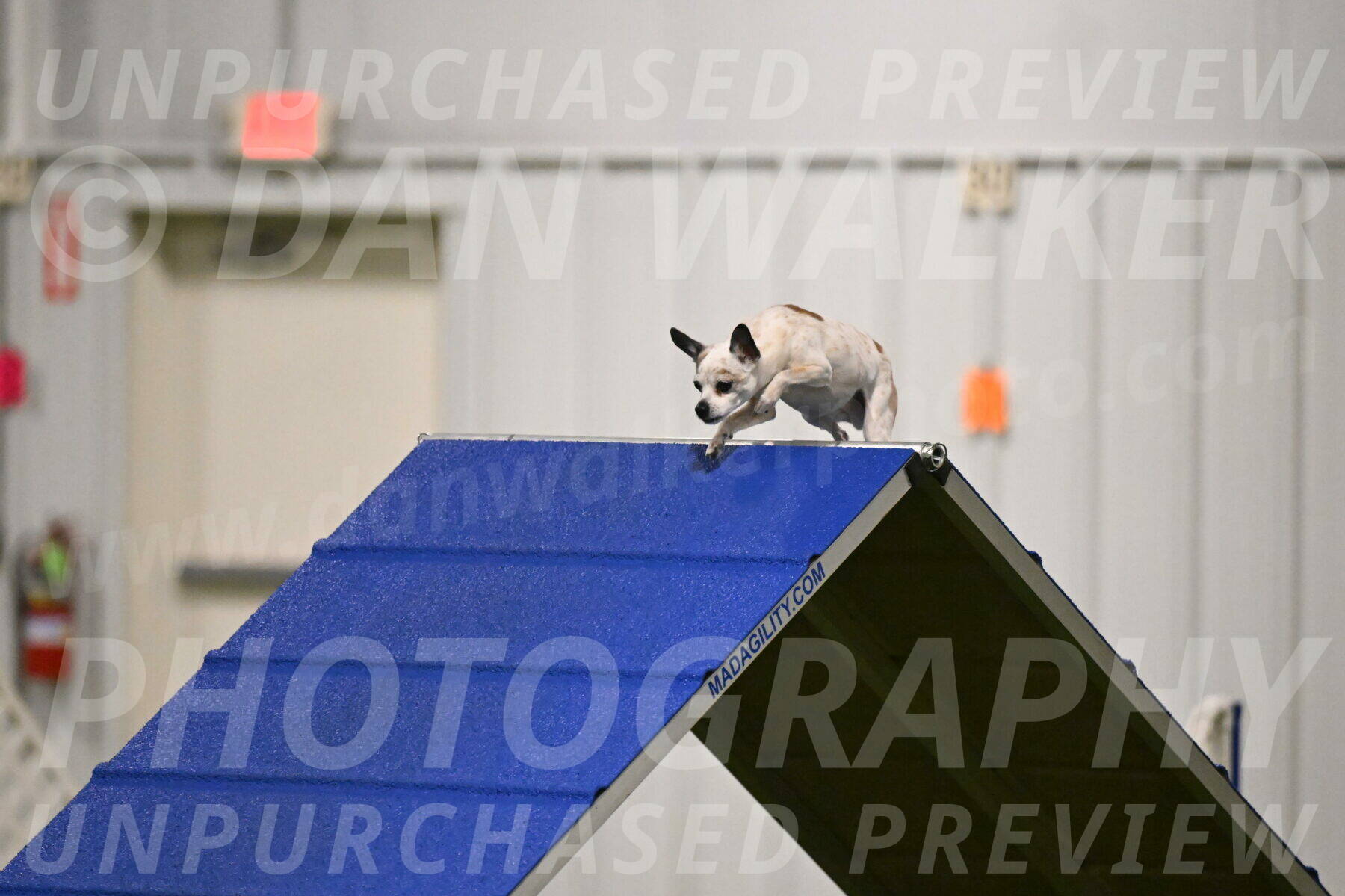 Bob-Hope-Margaret-Poulin-11248