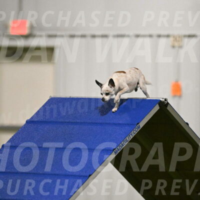 Bob-Hope-Margaret-Poulin-11249