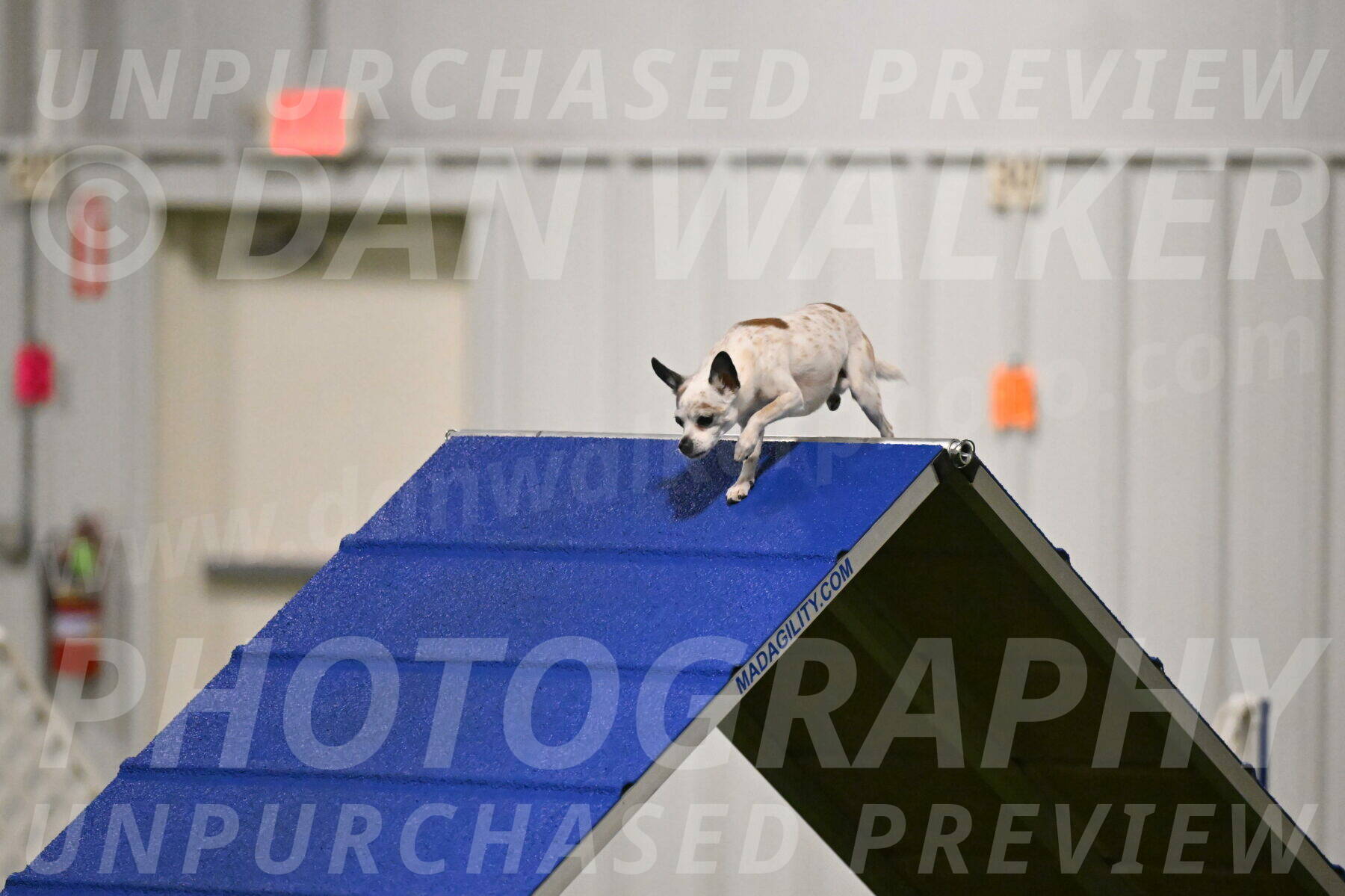 Bob-Hope-Margaret-Poulin-11249