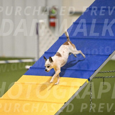 Bob-Hope-Margaret-Poulin-11250