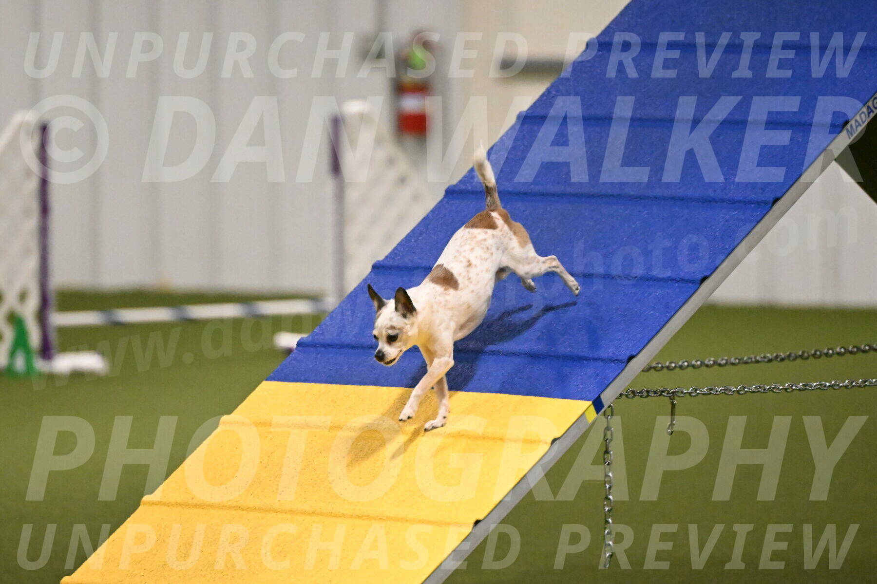 Bob-Hope-Margaret-Poulin-11250