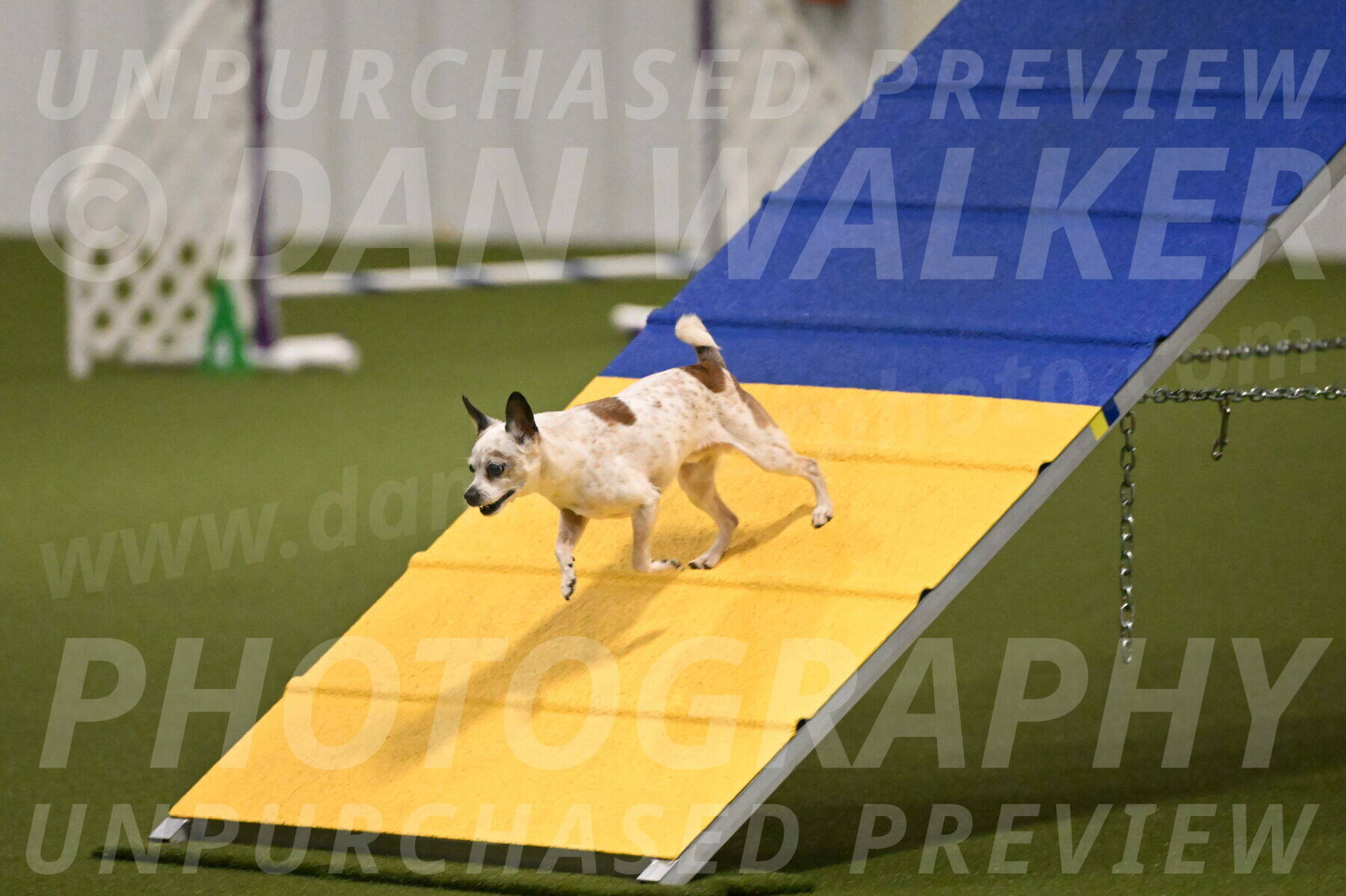 Bob-Hope-Margaret-Poulin-11251