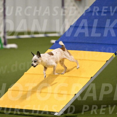 Bob-Hope-Margaret-Poulin-11251