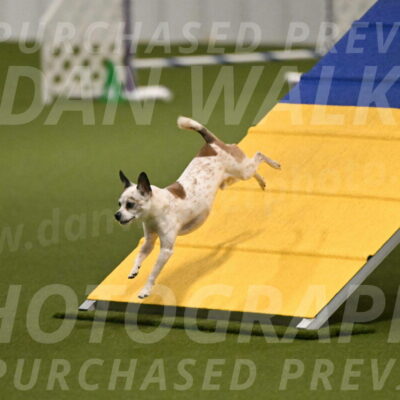 Bob-Hope-Margaret-Poulin-11252