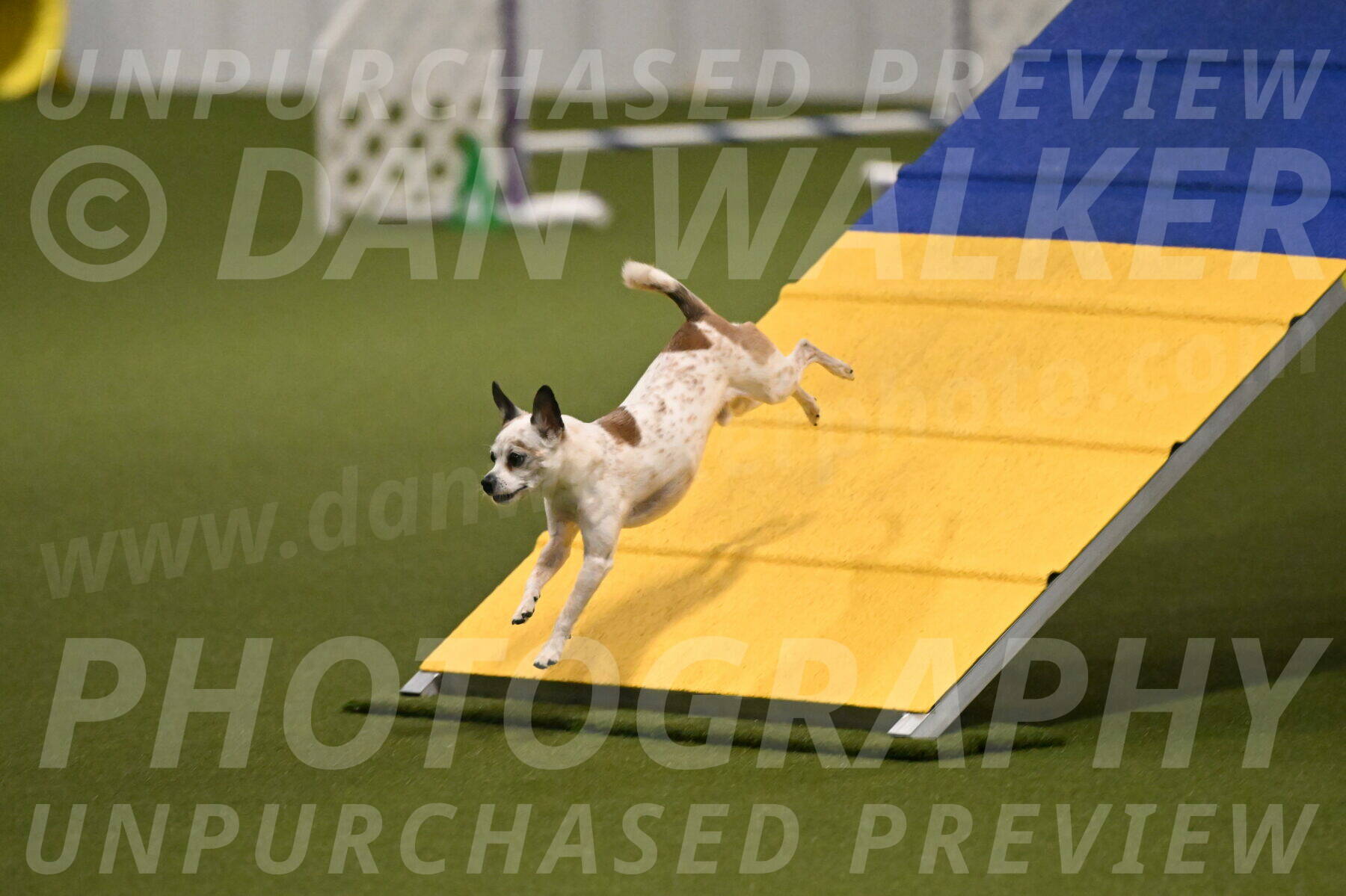 Bob-Hope-Margaret-Poulin-11252