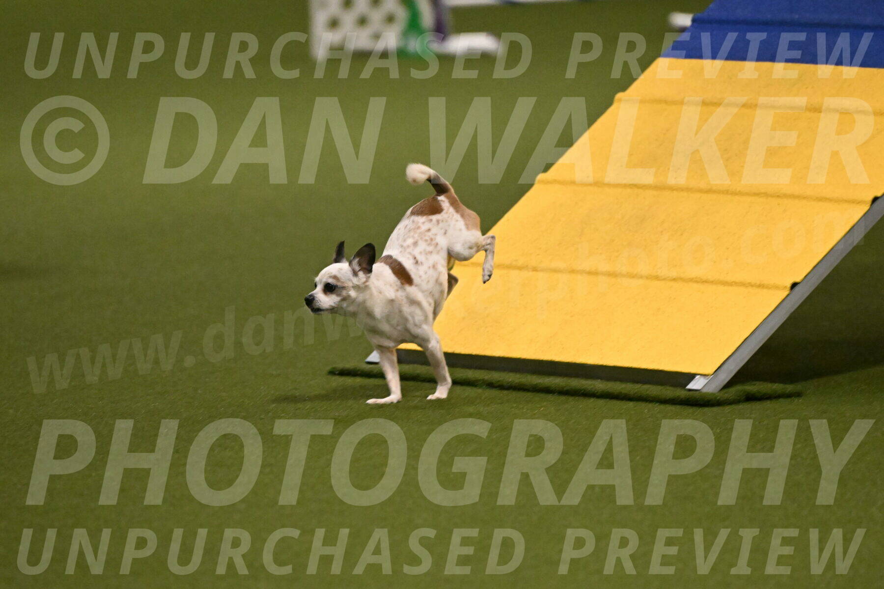 Bob-Hope-Margaret-Poulin-11253