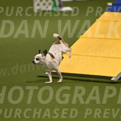 Bob-Hope-Margaret-Poulin-11253