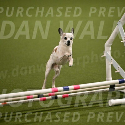 Bob-Hope-Margaret-Poulin-11254