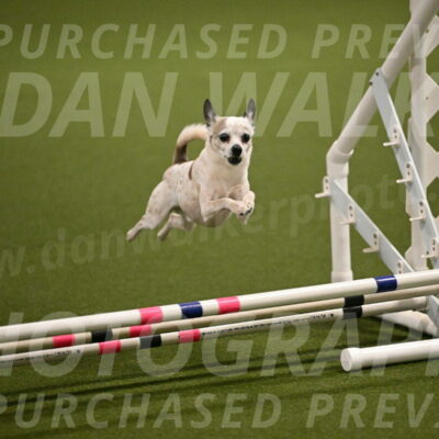 Bob-Hope-Margaret-Poulin-11255