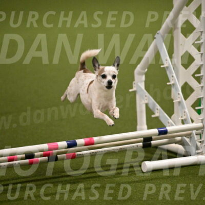 Bob-Hope-Margaret-Poulin-11256