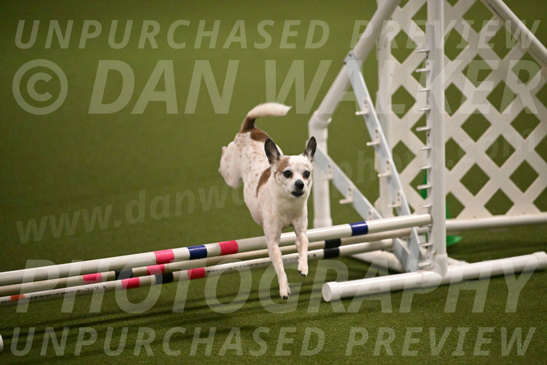 Bob-Hope-Margaret-Poulin-11257