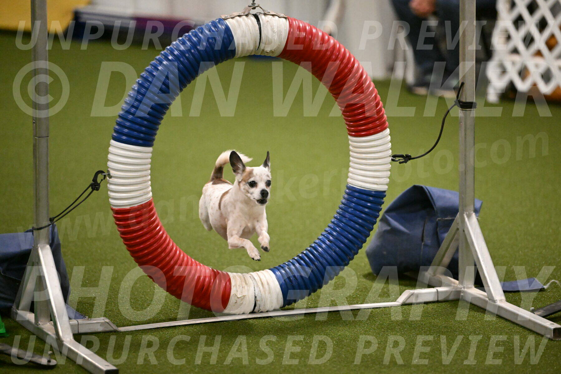 Bob-Hope-Margaret-Poulin-11259