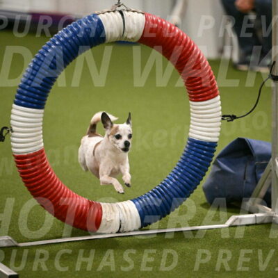 Bob-Hope-Margaret-Poulin-11259