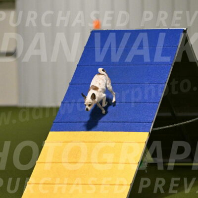 Bob-Hope-Margaret-Poulin-11260