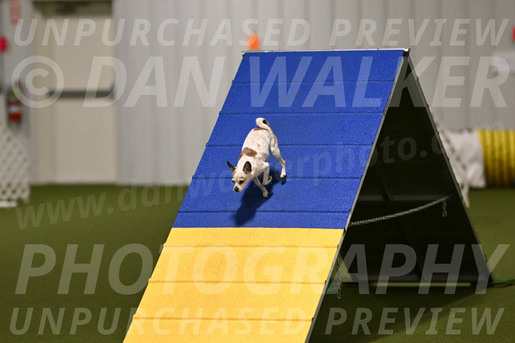 Bob-Hope-Margaret-Poulin-11260