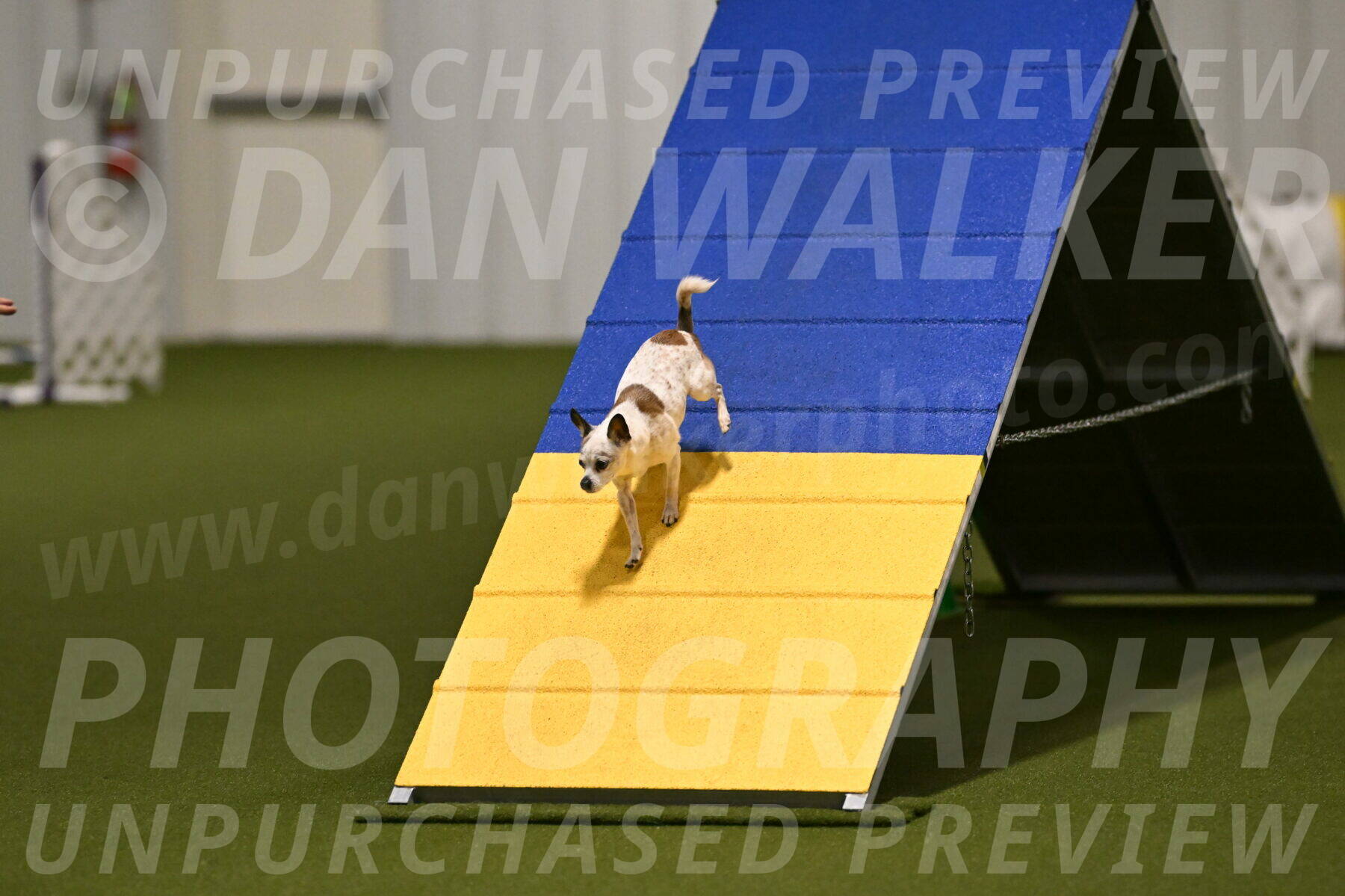 Bob-Hope-Margaret-Poulin-11261