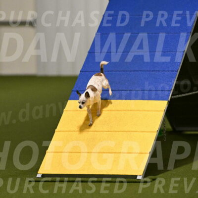 Bob-Hope-Margaret-Poulin-11261