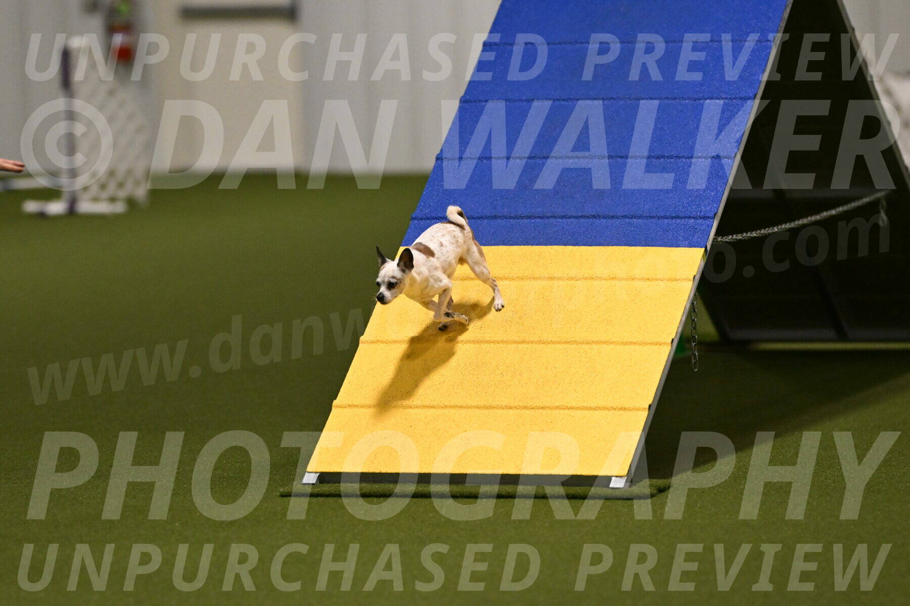 Bob-Hope-Margaret-Poulin-11262