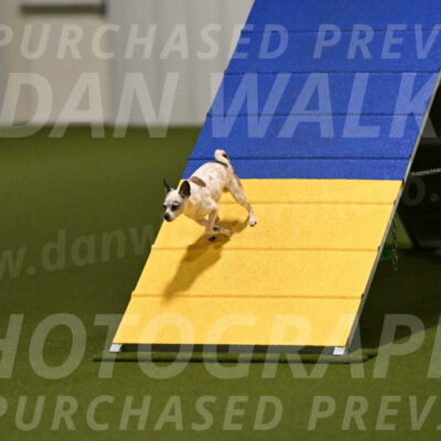 Bob-Hope-Margaret-Poulin-11262