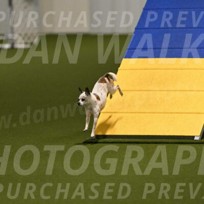 Bob-Hope-Margaret-Poulin-11263