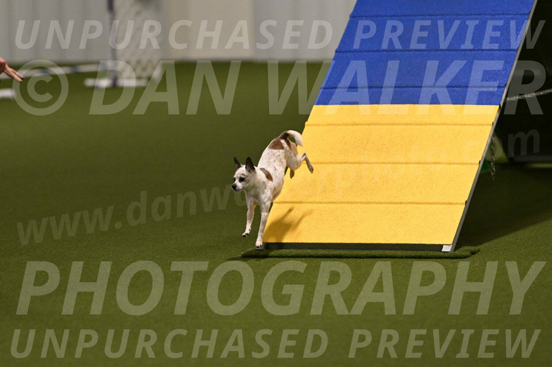 Bob-Hope-Margaret-Poulin-11263