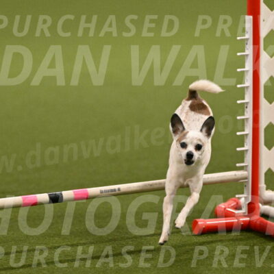 Bob-Hope-Margaret-Poulin-11264