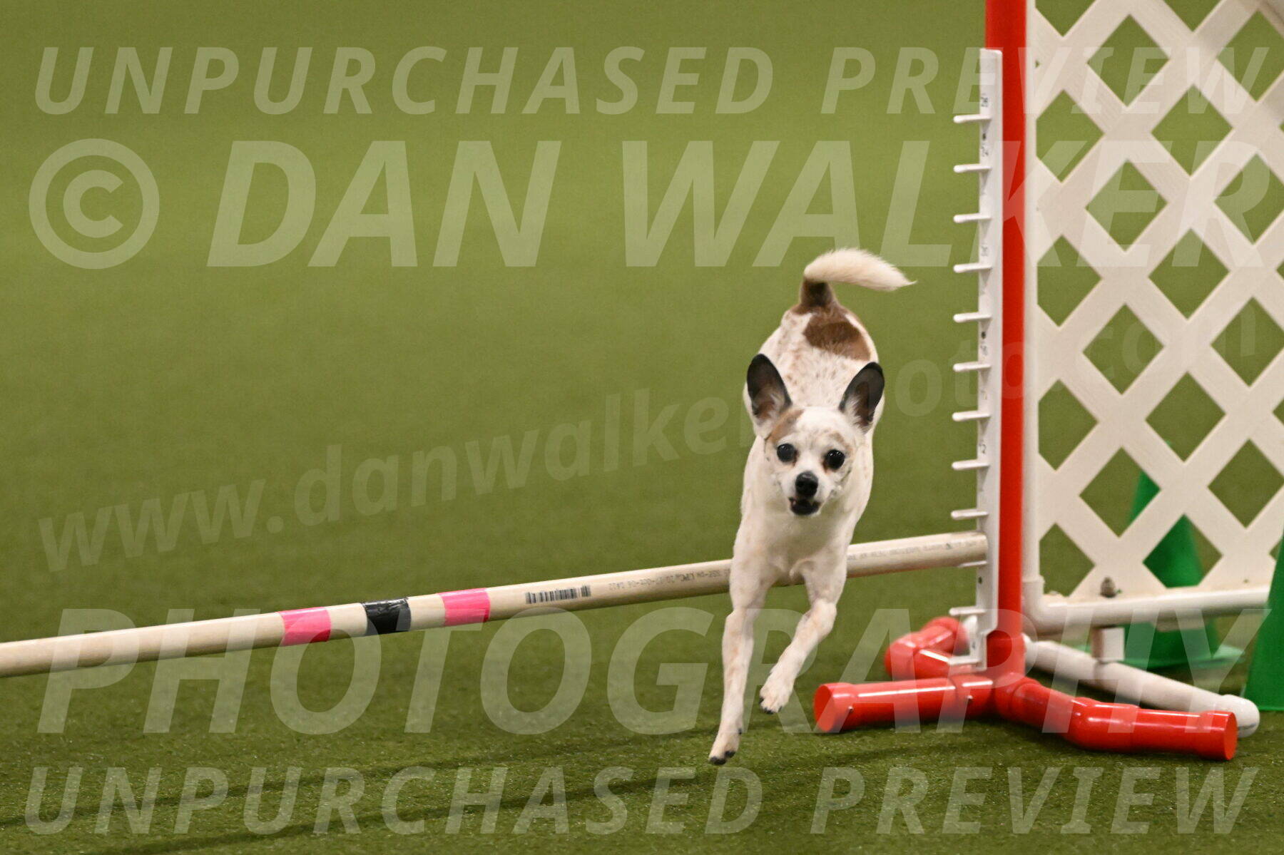 Bob-Hope-Margaret-Poulin-11264