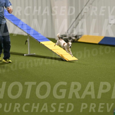 Bob-Hope-Margaret-Poulin-11267