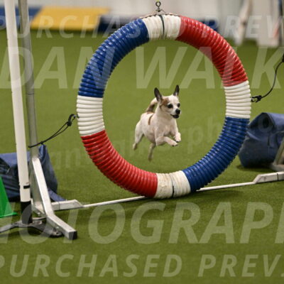 Bob-Hope-Margaret-Poulin-11268