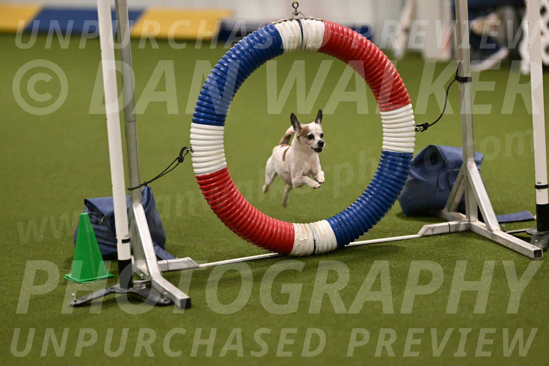 Bob-Hope-Margaret-Poulin-11268