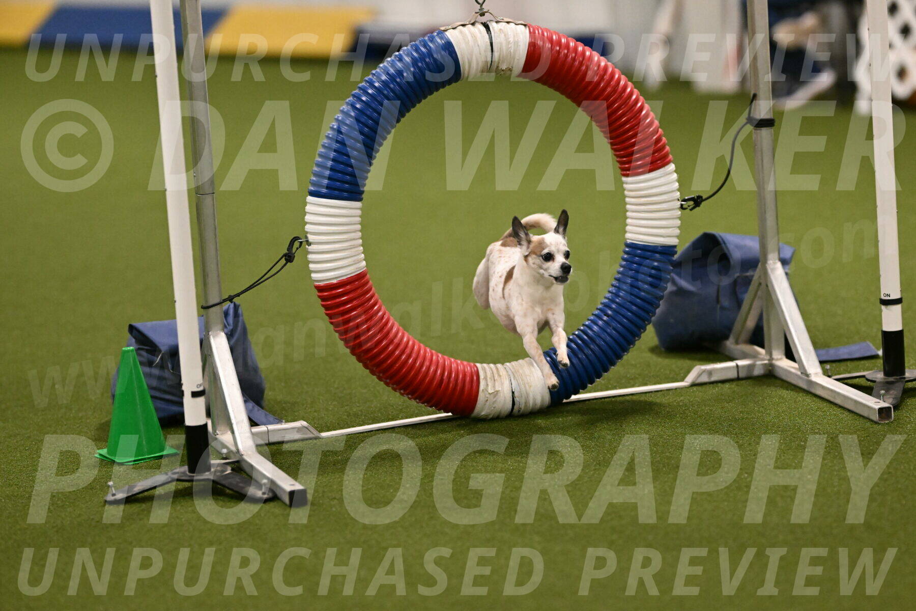 Bob-Hope-Margaret-Poulin-11269