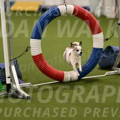 Bob-Hope-Margaret-Poulin-11269