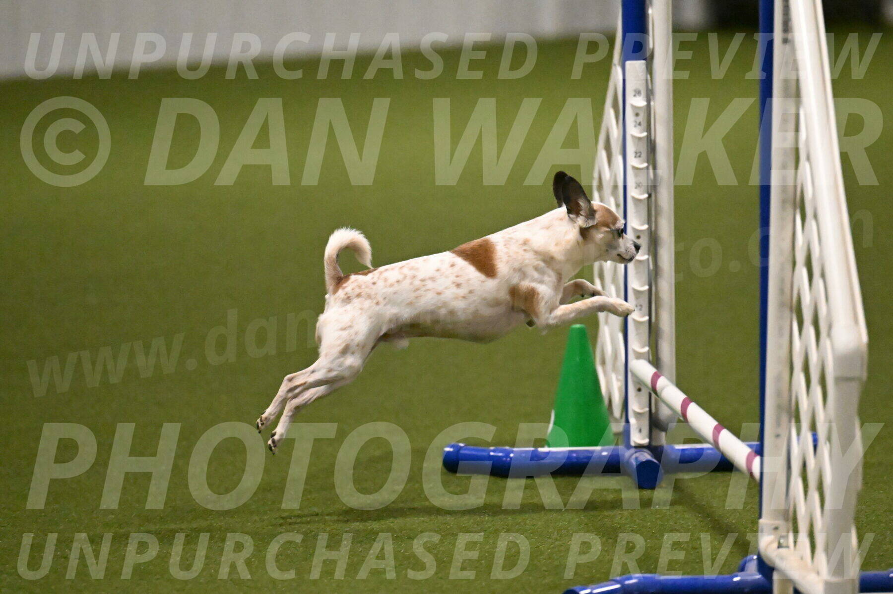 Bob-Hope-Margaret-Poulin-11270