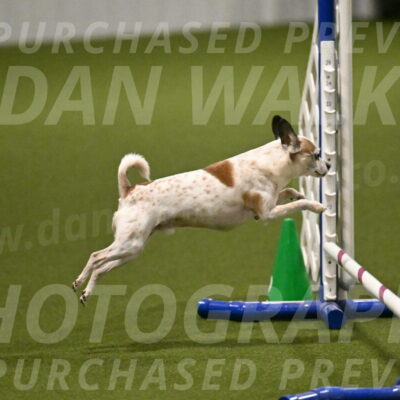 Bob-Hope-Margaret-Poulin-11270