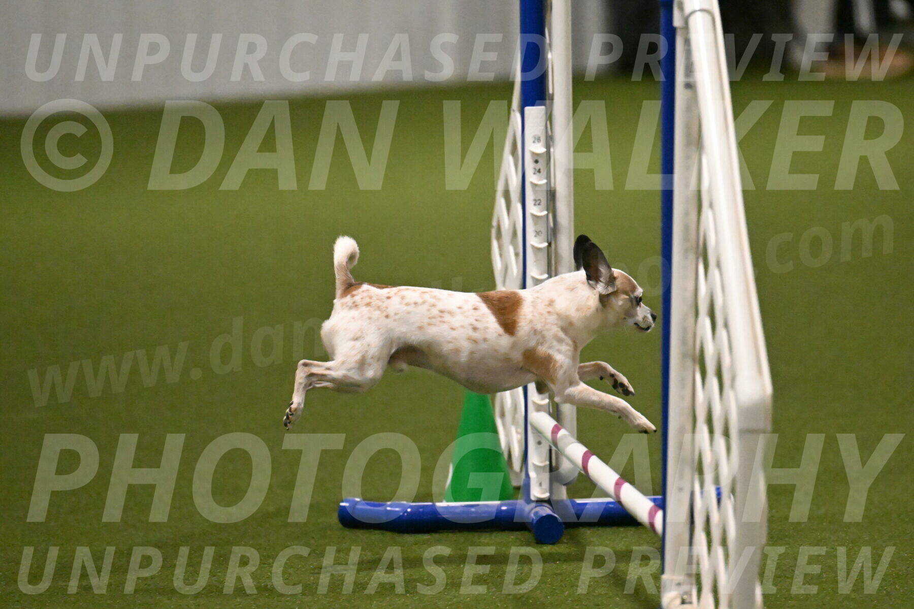 Bob-Hope-Margaret-Poulin-11271